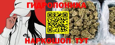 дмт Гусев