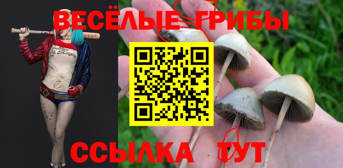 Псилоцибиновые грибы Magic Shrooms  Вход с VPN  Галлюциногенные грибы ЛСД  Луховицы 